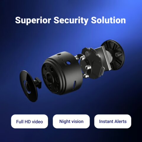 ZoomPix image